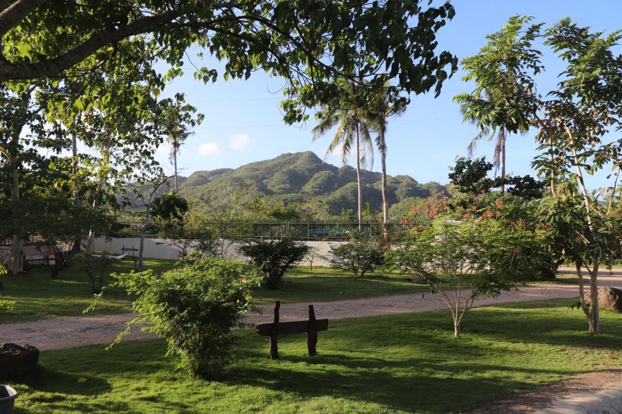 Island View Beachfront Resort Anda  Eksteriør billede