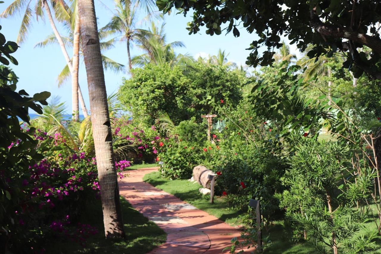 Island View Beachfront Resort Anda  Eksteriør billede
